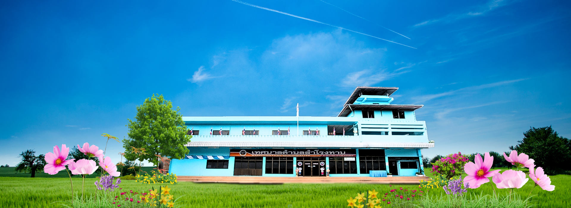 พื้นหลัง